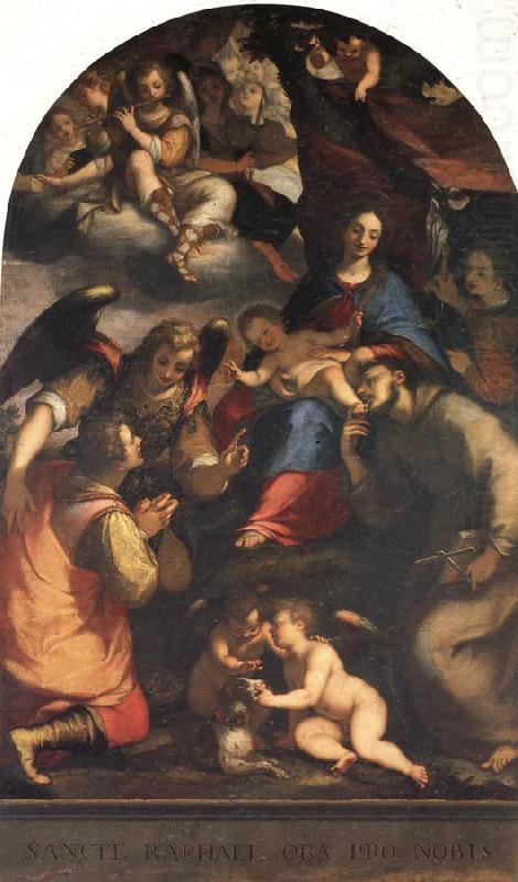 Paggi, Giovanni Battista Madonna and Child with St.Anthony of Padua,Tobias,and the Archangel Ra-Phael china oil painting image